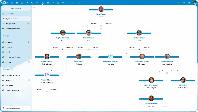 organizational-chart-1